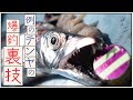 【タチウオテンヤ】釣れすぎる“あのテンヤ”をもっと使いこなすコツ!!