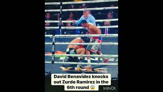 Live reaction to the David Benavidez vs Zurdo Ramirez knockout. #boxing #viral