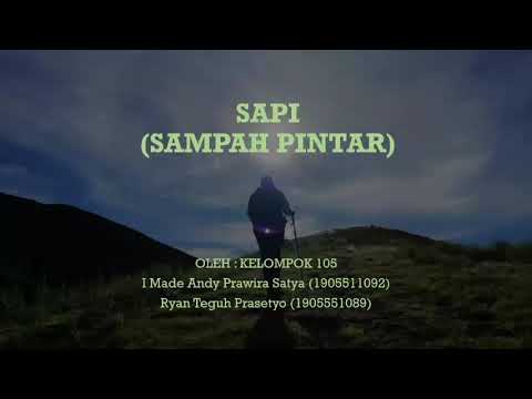 SAPI TERUNIK SAAT PANDEMIKK!