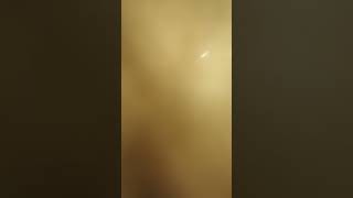 Unknown Trample Phone