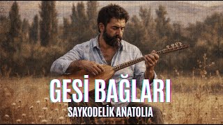 Gesi Bağları Saykodelik Anatolia (Psychedelic Anadolu Rock Cover)