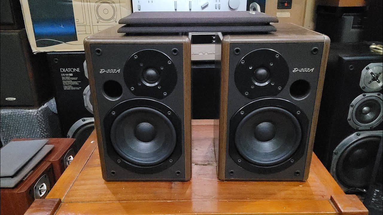 Onkyo D-202A speakers, like new, with bright midrange and smooth