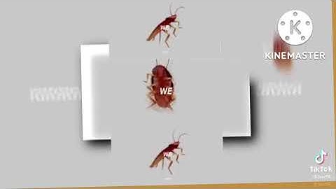 scan vs round 1872-6095