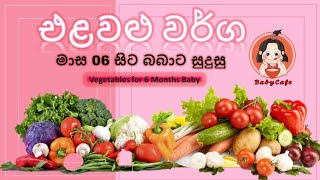 මාස 6 සිට බබාට දෙන්න පුළුවන් එළවළු වර්ග | Vegetables for 6 Months Baby | බබාට එළවළු | 06