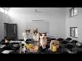 POV Kuliah