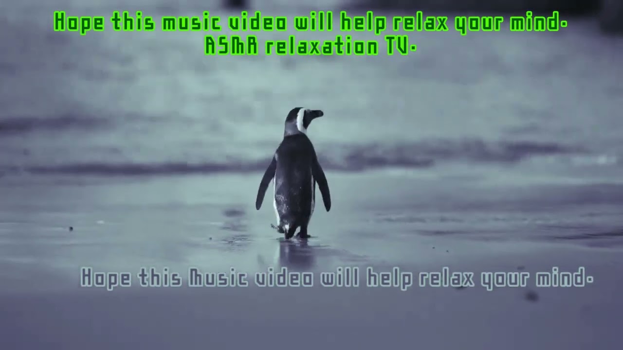 68Min Relaxing Sleep Music| Meditation Music |meditation music| zen music