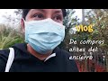 VLOG: MI RUTINA DE HOY antes del TOQUE DE QUEDA - Aracelli Vlogs