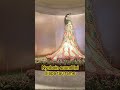 Galaxymacau#tkimacau #monetisasi #shortvideo