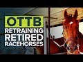 THOROUGHBRED MAKEOVER | RETRAINING RETIRED RACEHORSES