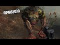 МНЕ П*ЗДА) STALKER Old Episodes 3 #1