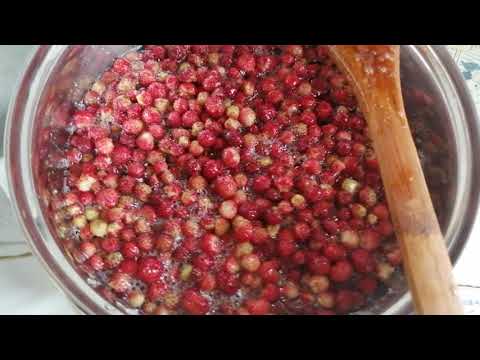 Video: Šta Kuhati Od šumskih Jagoda