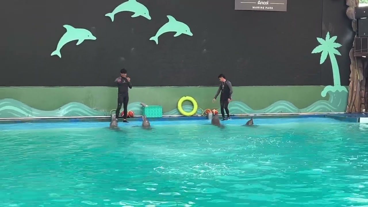 Ocean Dream Ancol Part 1