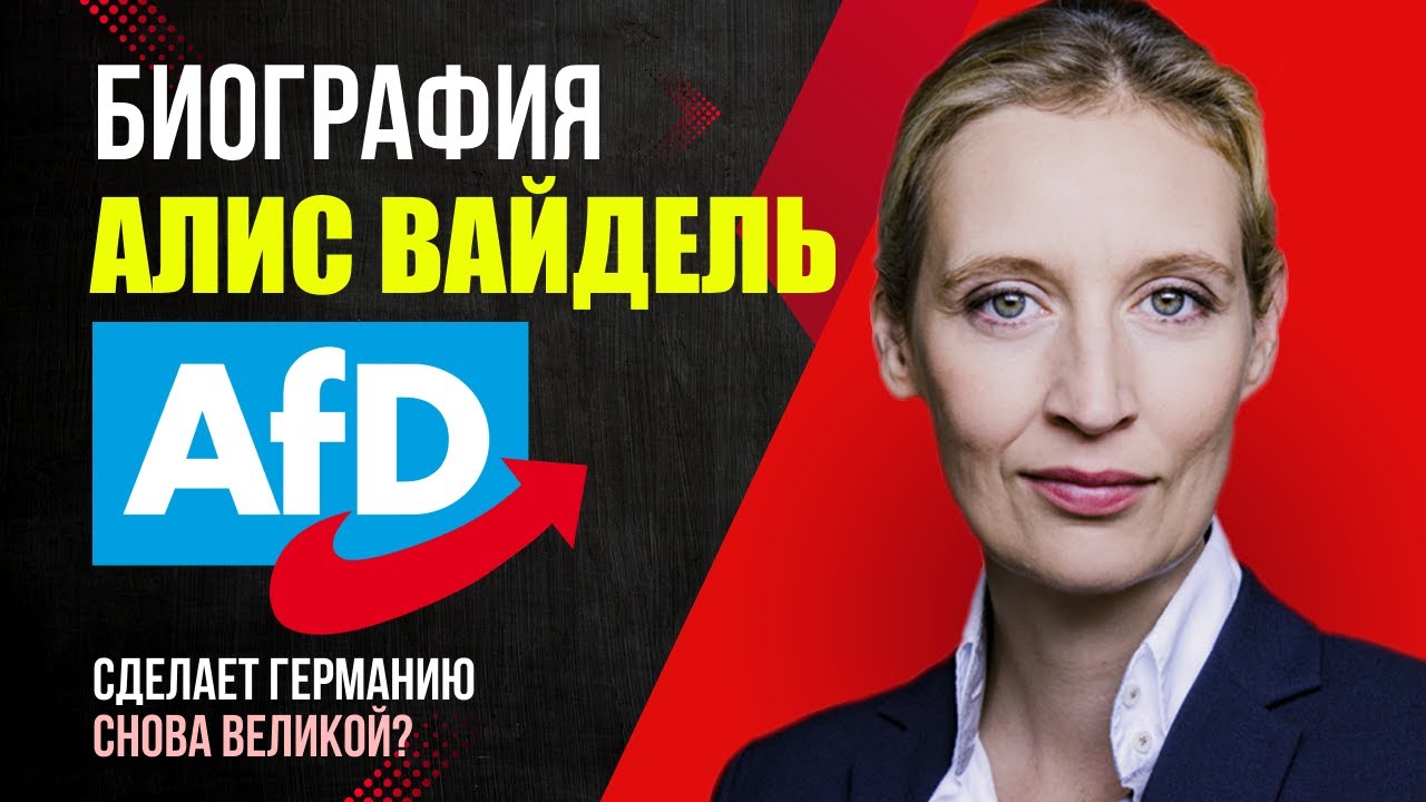 Биография Алис Вайдель (Альтернатива для Германии AfD АдГ) Скандалы Однополый брак  Взгляды Миша Бур