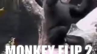 MONKEY FLIP 2