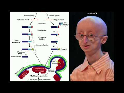 Video: Teadlased On Progeria Mõistatusele Ootamatu Lahenduse Leidnud - Alternatiivvaade