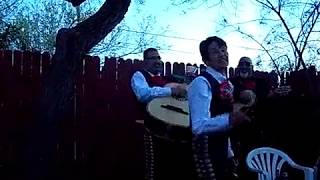 Mariachi Time at the Substitute Soloist Book Launch!