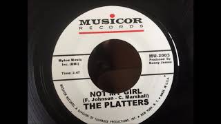 The Platters     Not My Girl