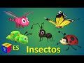 Aprendemos los insectos y escuchamos sus sonidos. Dibujo animado para niños en español.