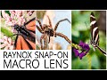 Raynox DCR-250 'Snap-on Macro Lens' Review