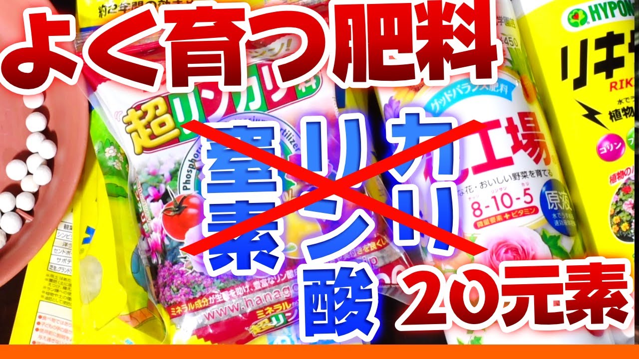 植物が元気に育つ肥料 ガーデニング講座 Youtube