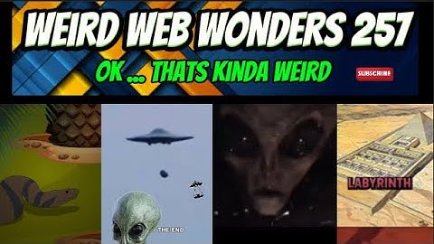 weird web wonders 257