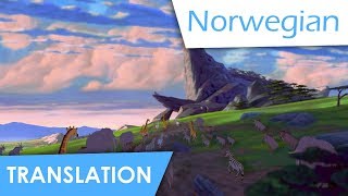 Circle of Life (Norwegian | Blu-ray) Lyrics & Translation