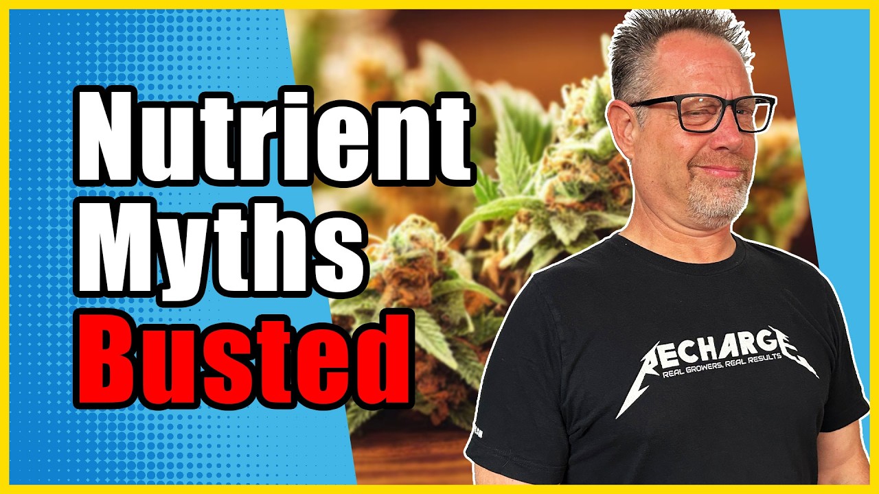 Organics vs Synthetics: Cannabis Nutrients Facts THEY Don't Want You to Know