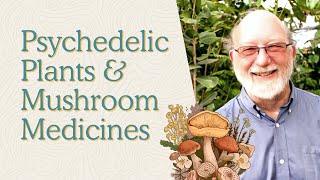 Dennis McKenna’s Take on Psychedelic & Functional Mushrooms