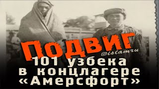 Подвиг узбекских солдат в голландском лагере смерти: Как провалилась фашистская пропаганда Гебельса.