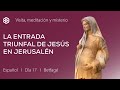 17 de octubre. Visita a Betfagé. Reflexión sobre la entrada triunfal de Jesús a Jerusalén.