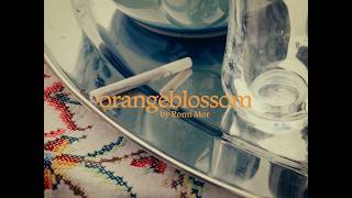 Romi Mor - orangeblossom