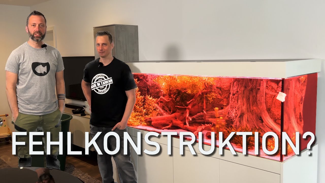Nur 4 Jahre altes Aquarium muss ERSETZT werden!!! Mit @Sascha Hoyer Aqua Artist