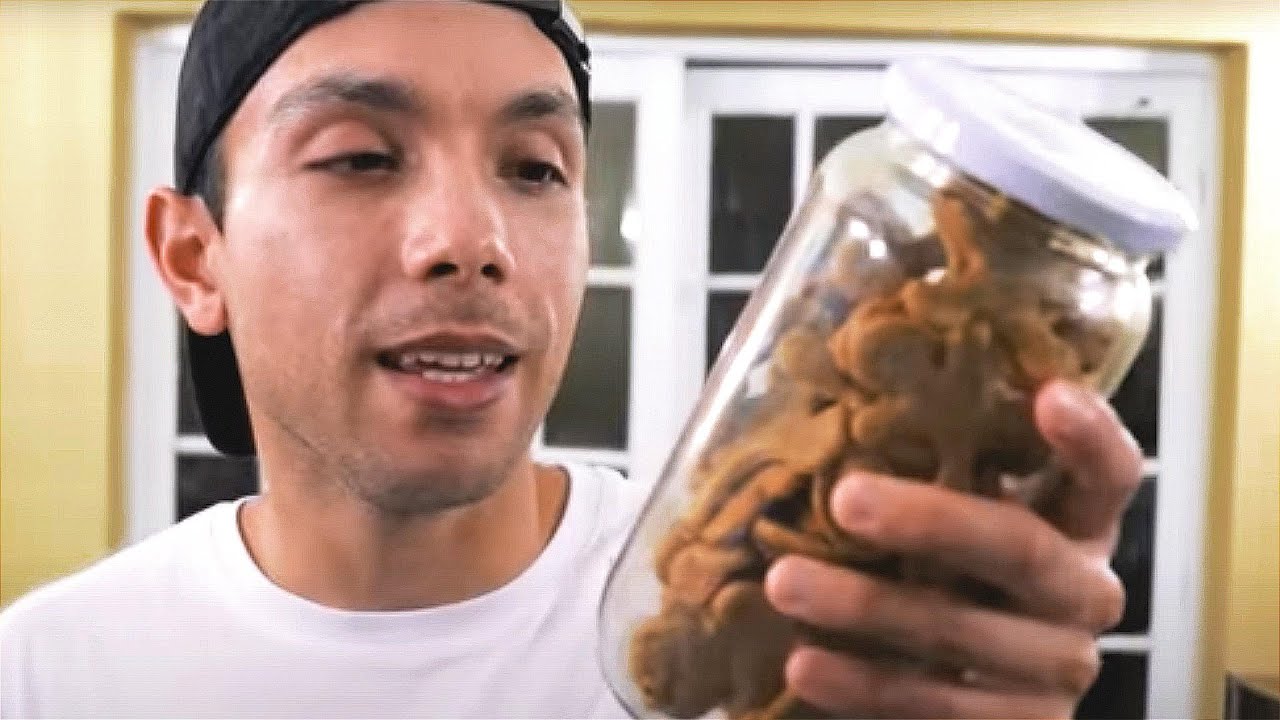 El efecto cuando comemos galletas 🍪👽 