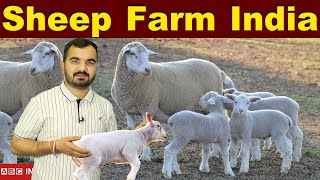 सरकारी सहायता भेड़ पालन | Sheep Farming | Sheep palan | bhed palan | Sheep Breeds in india | sheeps