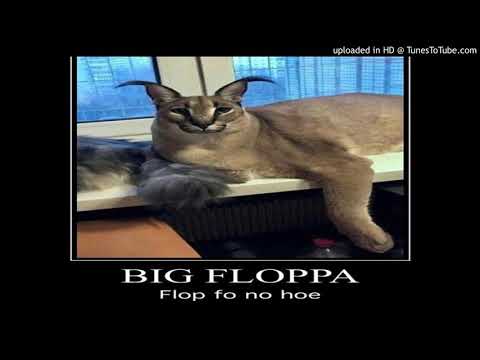 Big Floppa Pelmeni by 1lGl1 Sound Effect - Meme Button - Tuna