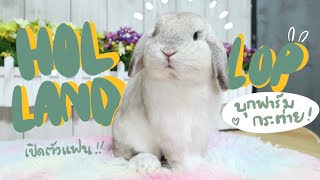 Ep.7 บุกฟาร์มกระต่าย Holland Lop เกรดบรีด แก้มใหญ่ ฟอร์มสวยมาก! #BunnyTTcoupe | Joyjee Loveberry