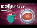    human cells  sciences in tamil  dr binocs tamil  kids learning