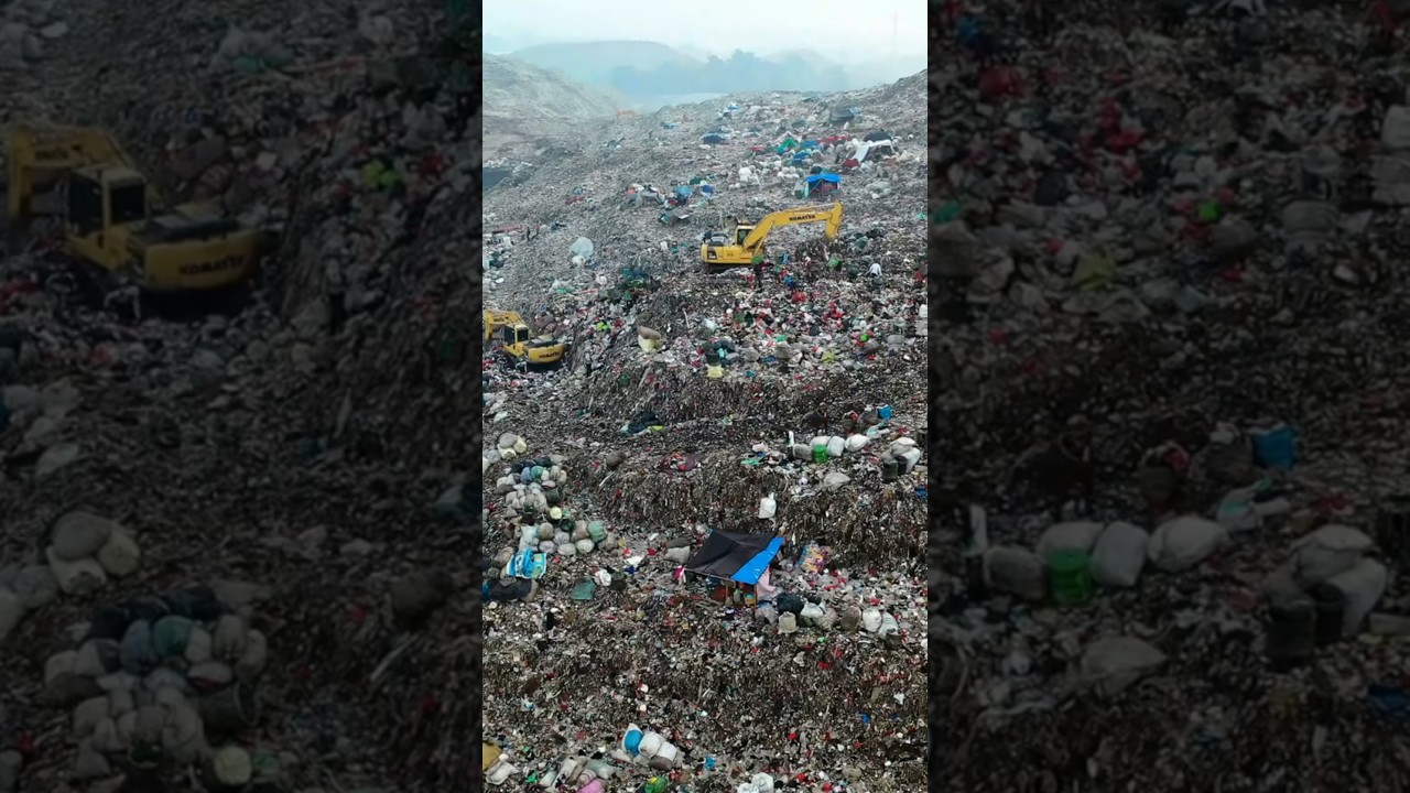 Wake Up, Humanity – Before It's Too Late