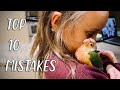 TOP 10 MISTAKES WITH CONURES! (Feat. CG Teen!)