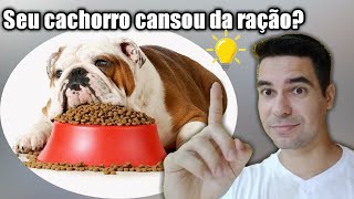 Seu cachorro cansou da raçao?  Veja o que fazer.