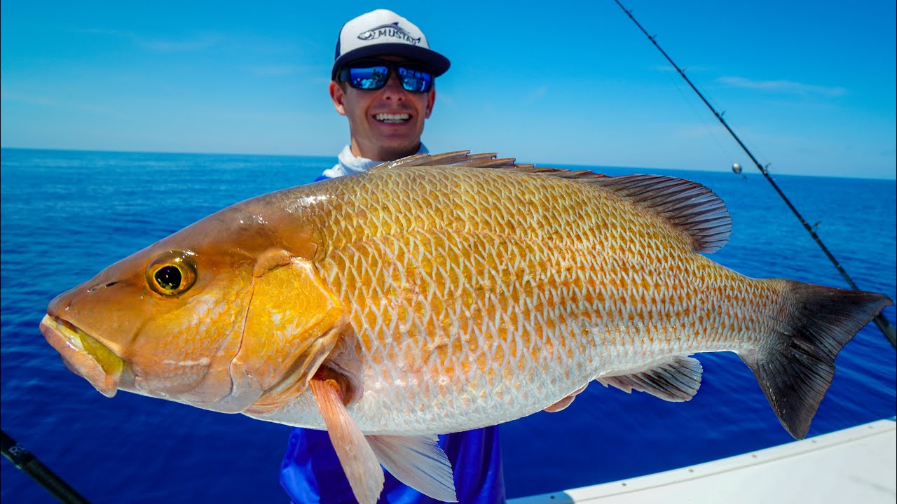⁣MONSTER Mangrove Snapper! Catch Clean Cook
