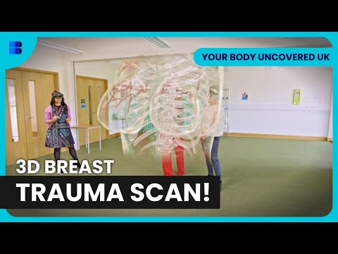 Step Inside Your 3D Body: Discover Hidden Insights