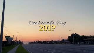 One Second A Day for a Year I 2019