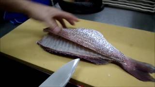 Chef Shigeru How to cut Sea bream Tai Fish      鯛のさばき方