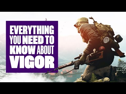 Everything You Need To Know About Vigor