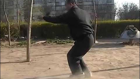 Shang Xing Yi Quan   Wu Xing Five Elements