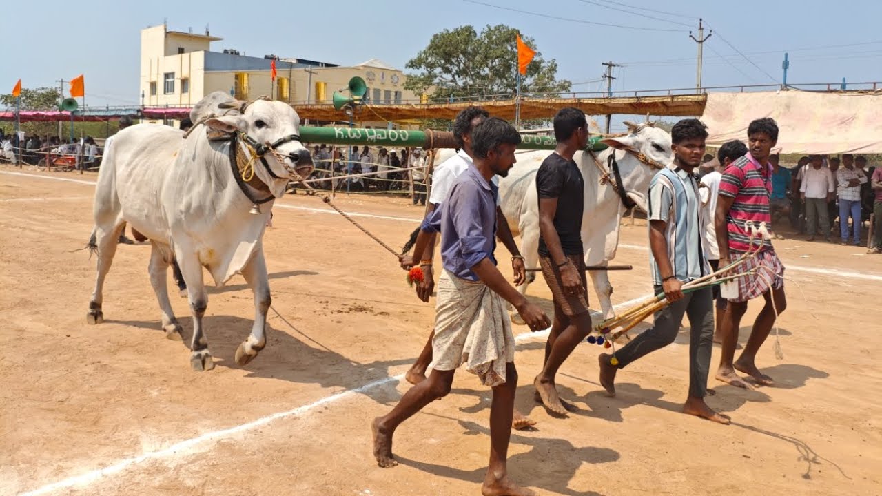 శ్రీ అహోబిల లక్ష్మీ నరసింహ స్వామి న్యూ క్యటగిరి విభాగానికి 8 వ జత