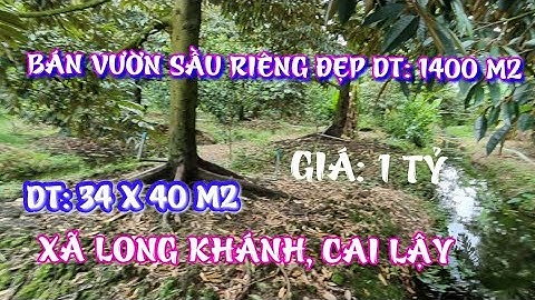 TẬP 875 BÁN VƯỜN SẦU RIÊNG DIỆN TÍCH:1400M2, GIÁ:1TỶ, XÃ LONG KHÁNH CAI LẬY