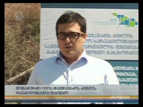 წიწამურში ილია ჭავჭავაძის ძეგლის რეაბილიტაცია დაიწყო