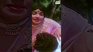 பால் தமிழ் பால் எனும் நினைப்பால் இதழ்...| Ragasiya Police 115 | MGR | Jayalalithaa | Raj Musix Tamil